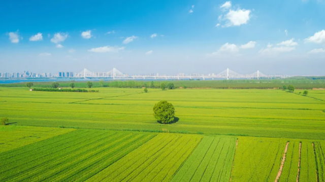 纪录片《王阳明》：体察阳明心学思想精髓