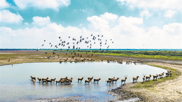 坚持用马克思主义中国化最新成果武装全党