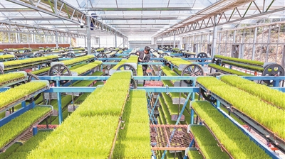 坚持用马克思主义中国化最新成果武装全党