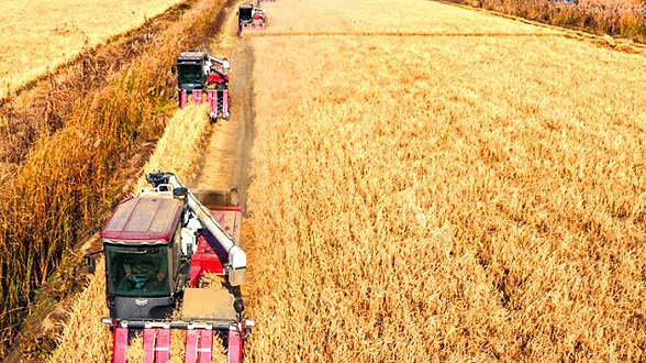 监督视点丨走进田间地头 监督解决农户急难愁盼