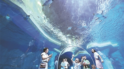 坚持用马克思主义中国化最新成果武装全党