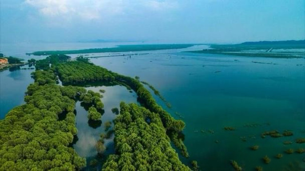 纪录片《王阳明》：体察阳明心学思想精髓