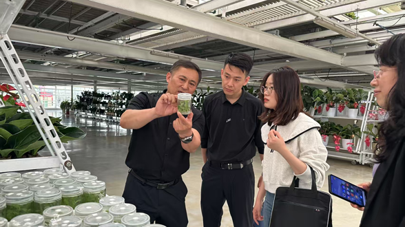 回眸2025丨东丽区纪委监委：清风护企为营商环境优化注入“廉动力”