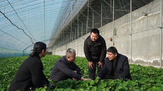 陈养山：被称为隐蔽战线的“福将”