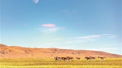 坚持用马克思主义中国化最新成果武装全党