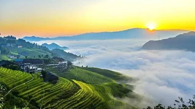 陈养山：被称为隐蔽战线的“福将”