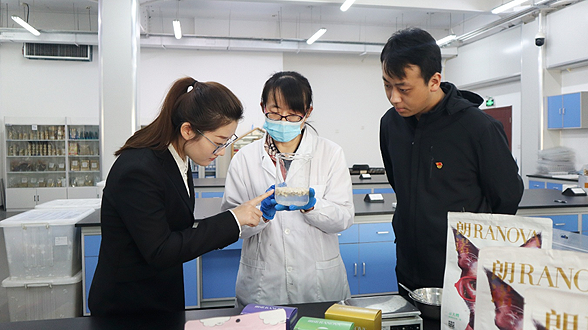 回眸2025丨静海区纪委监委：靠前监督解难题疏堵点 为新质生产力发展清障护航