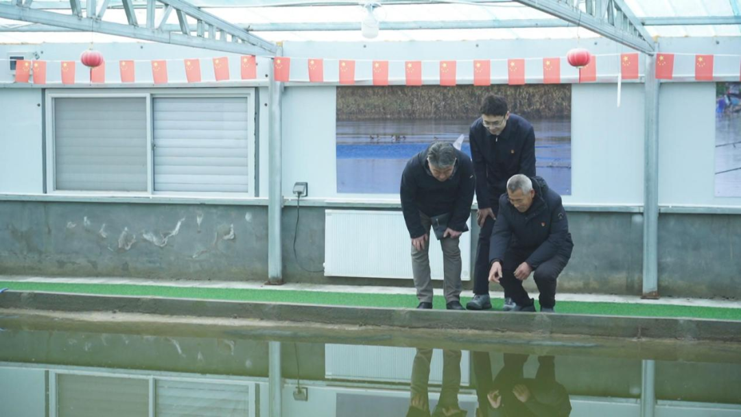 回眸2025丨武清区纪委监委：监督推动农村闲置资产盘活 为乡村全面振兴注入“廉动力”