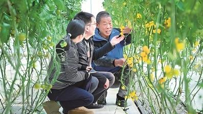 迈向新征程实现中国梦的行动指南