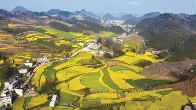 迈向新征程实现中国梦的行动指南