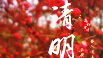 今日，清明