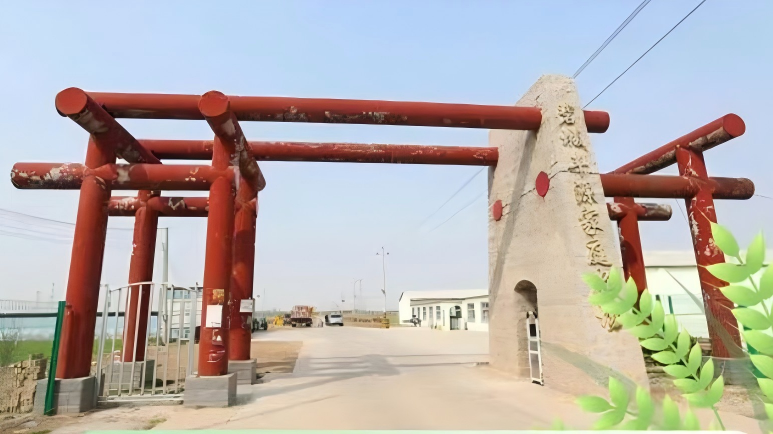 监督视点丨深入一线调研监督，护航春耕生产有序开展