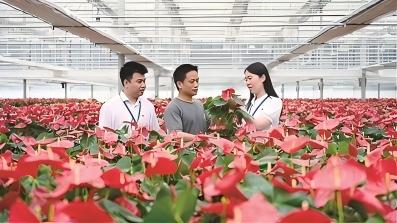 迈向新征程实现中国梦的行动指南
