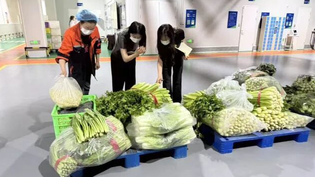 年中看进展丨滨海新区纪委监委：全程监督推进阳光采购 精准履职守护校园食品安全