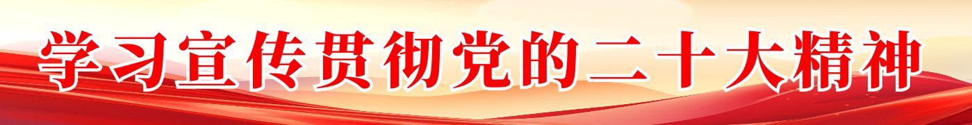 学习宣传贯彻党的二十大精神