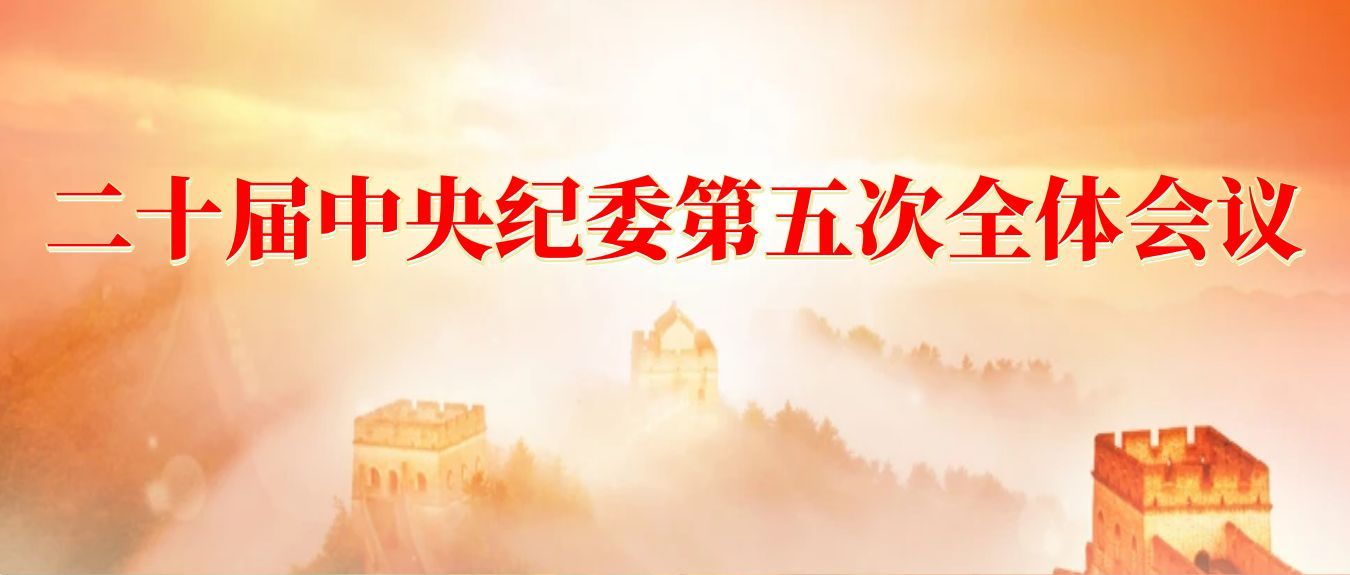 二十届中央纪委第四次全体会议