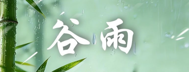 南开区：换届会风会纪“十不准”