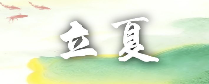 南开区：换届会风会纪“十不准”
