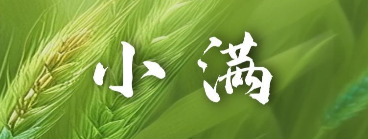 南开区：换届会风会纪“十不准”