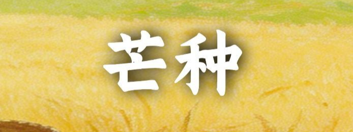 南开区：换届会风会纪“十不准”