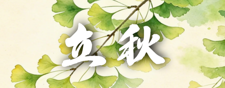 南开区：换届会风会纪“十不准”