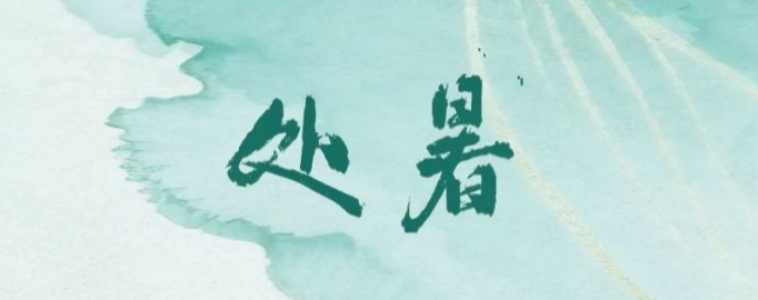 南开区：换届会风会纪“十不准”