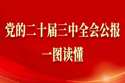 深入学习贯彻落实党的十九届六中全会精神