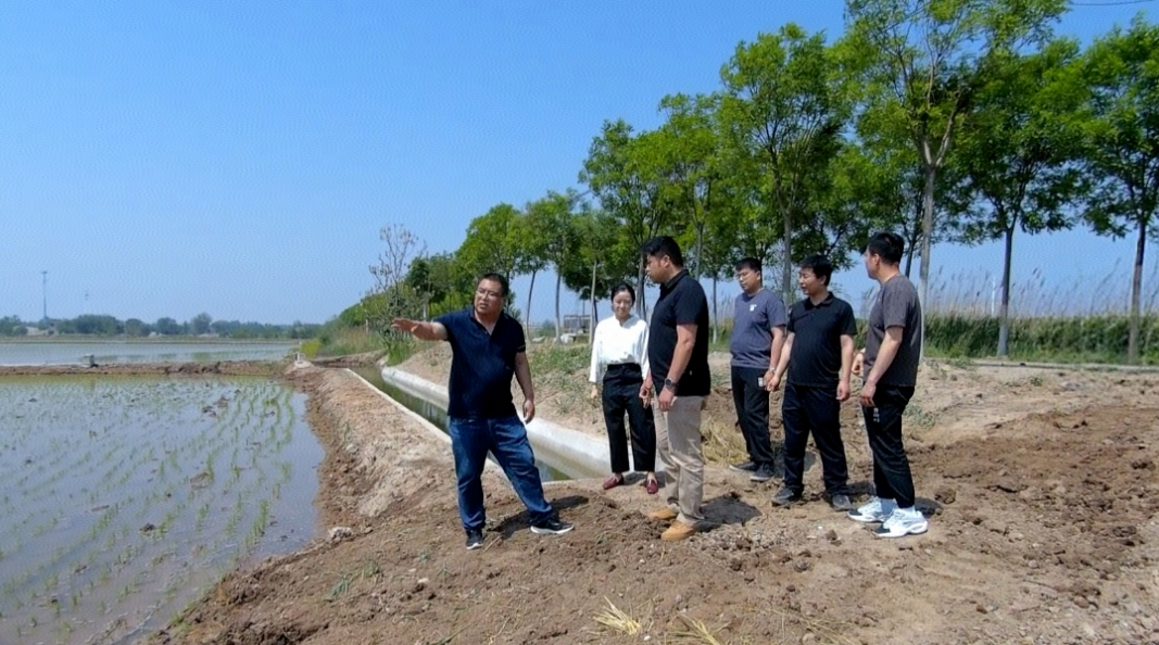 【媒体关注津南】落实市纪委四次全会要求在行动丨精准发力护航乡村振兴