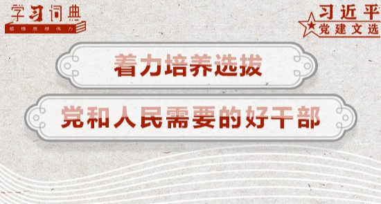 学全会精神 聚奋进力量 | 我市纪检监察干部热议党的十九届六中全会