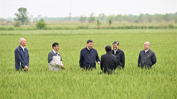 习近平在河北考察并主持召开深入推进京津冀协同发展座谈会