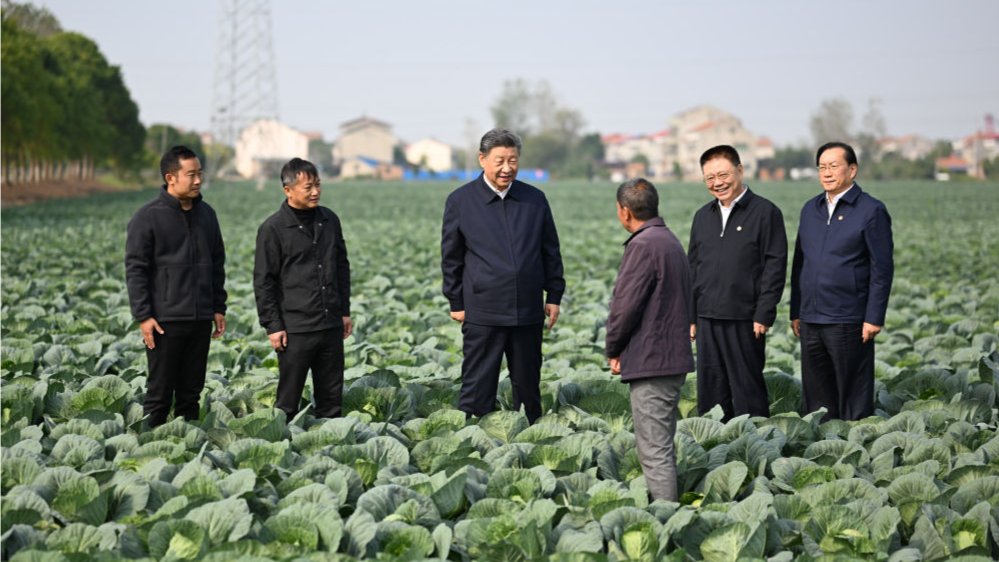 习近平在湖北考察调研