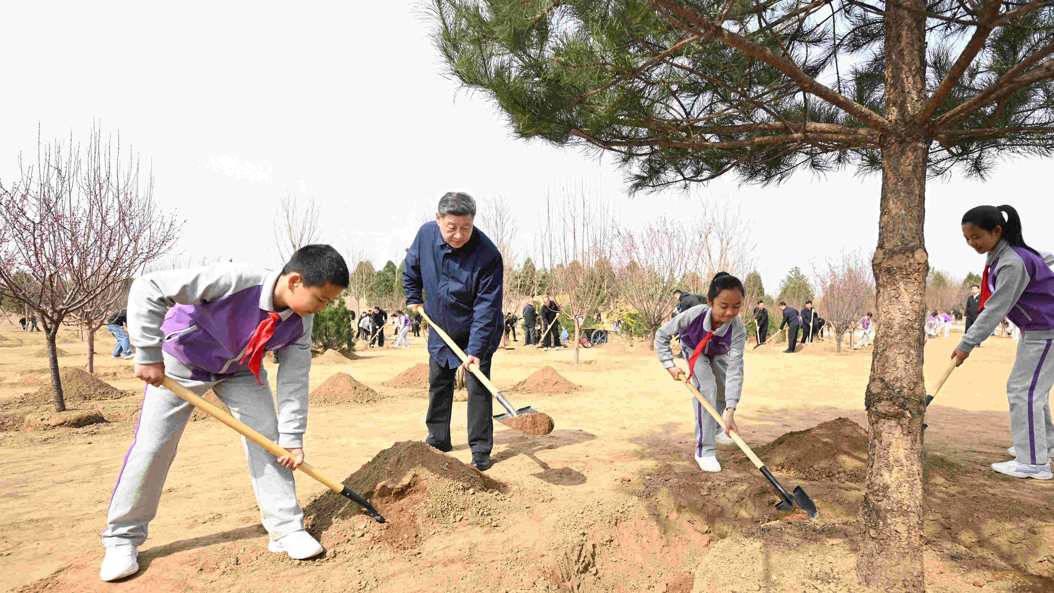 习近平在参加首都义务植树活动时强调 为山川大地增添锦绣 让中国式现代化底色更加亮丽