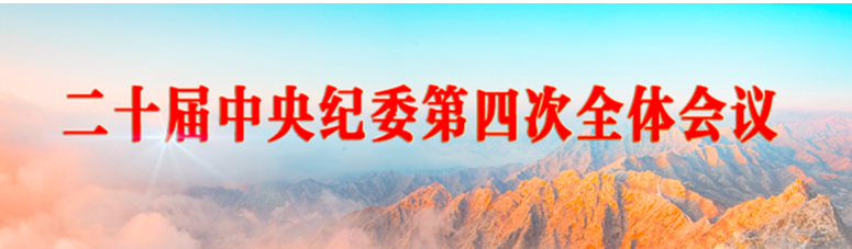 二十届中央纪委第四次全体会议