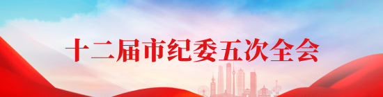 十九届中央第二轮巡视