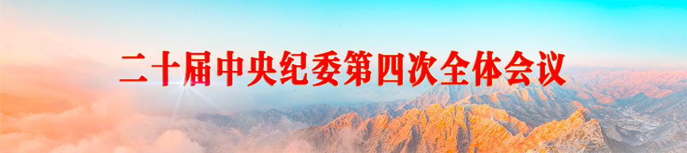 二十届中央纪委第四次全体会议