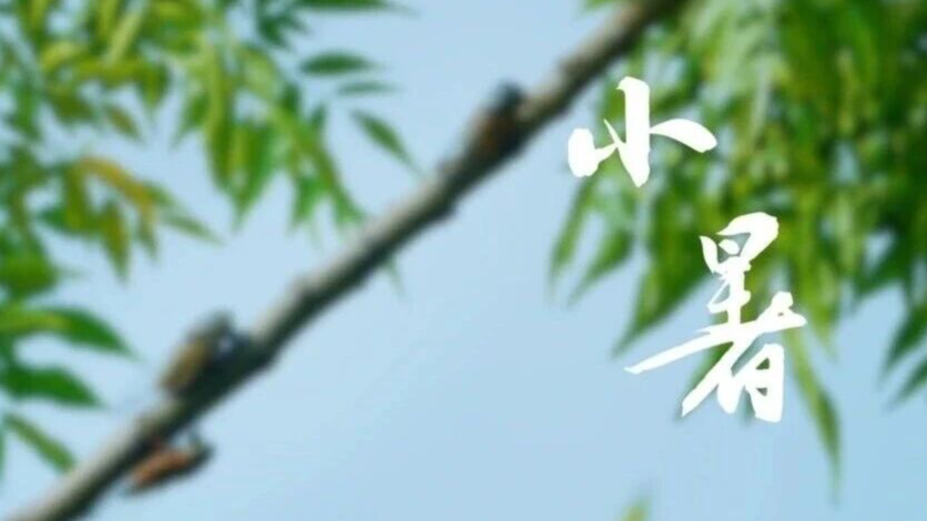 喜迎国庆！静海区纪委监委向祖国70华诞献礼
