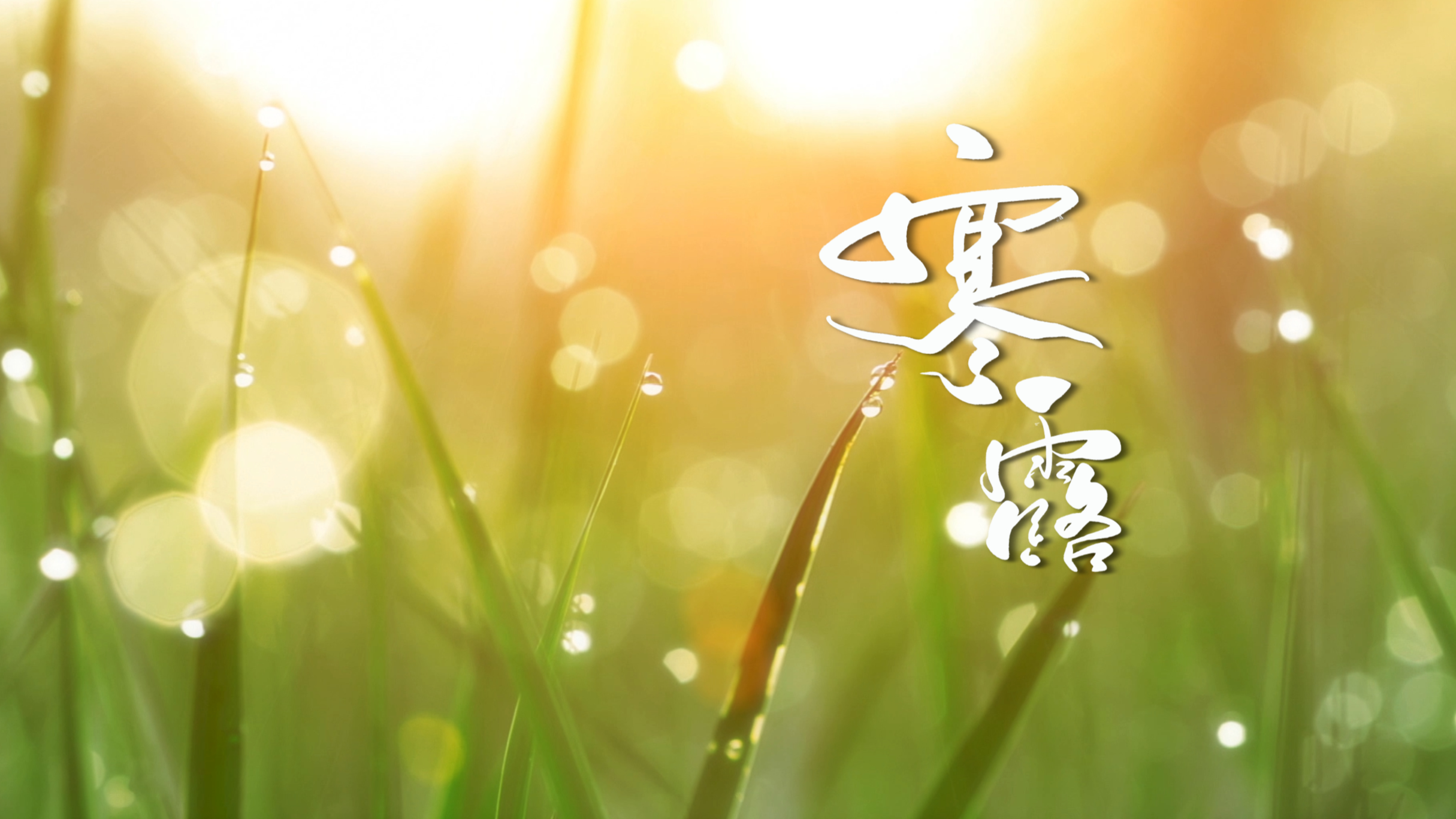 喜迎国庆！静海区纪委监委向祖国70华诞献礼