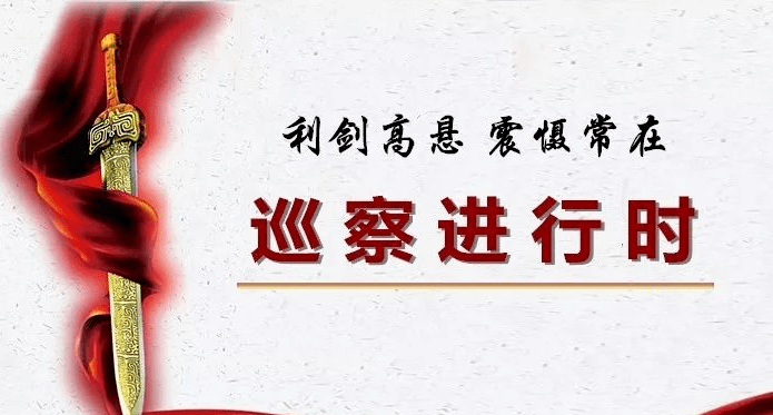 二届蓟州区委第九轮巡察反馈意见摘要