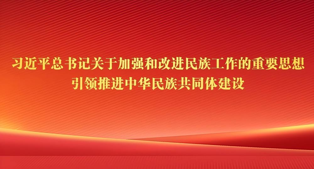 图解监察官法